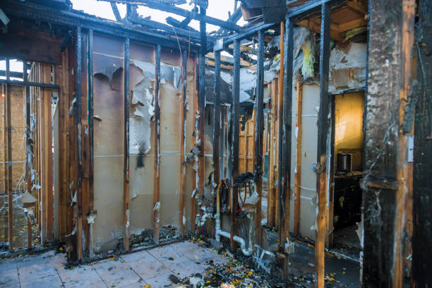 Professional Fire Damage Removal technician working in Skippers Corner, NC